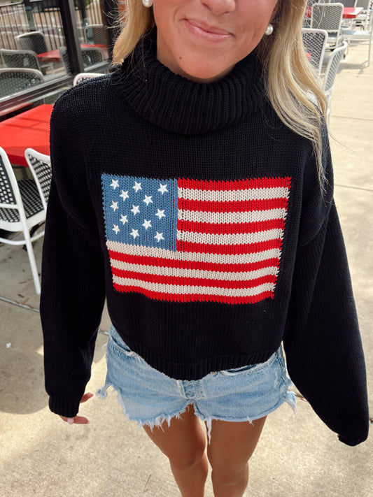 American Flag Turtle Neck Sweater