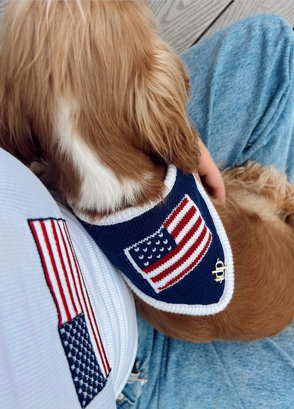 Dog Collars