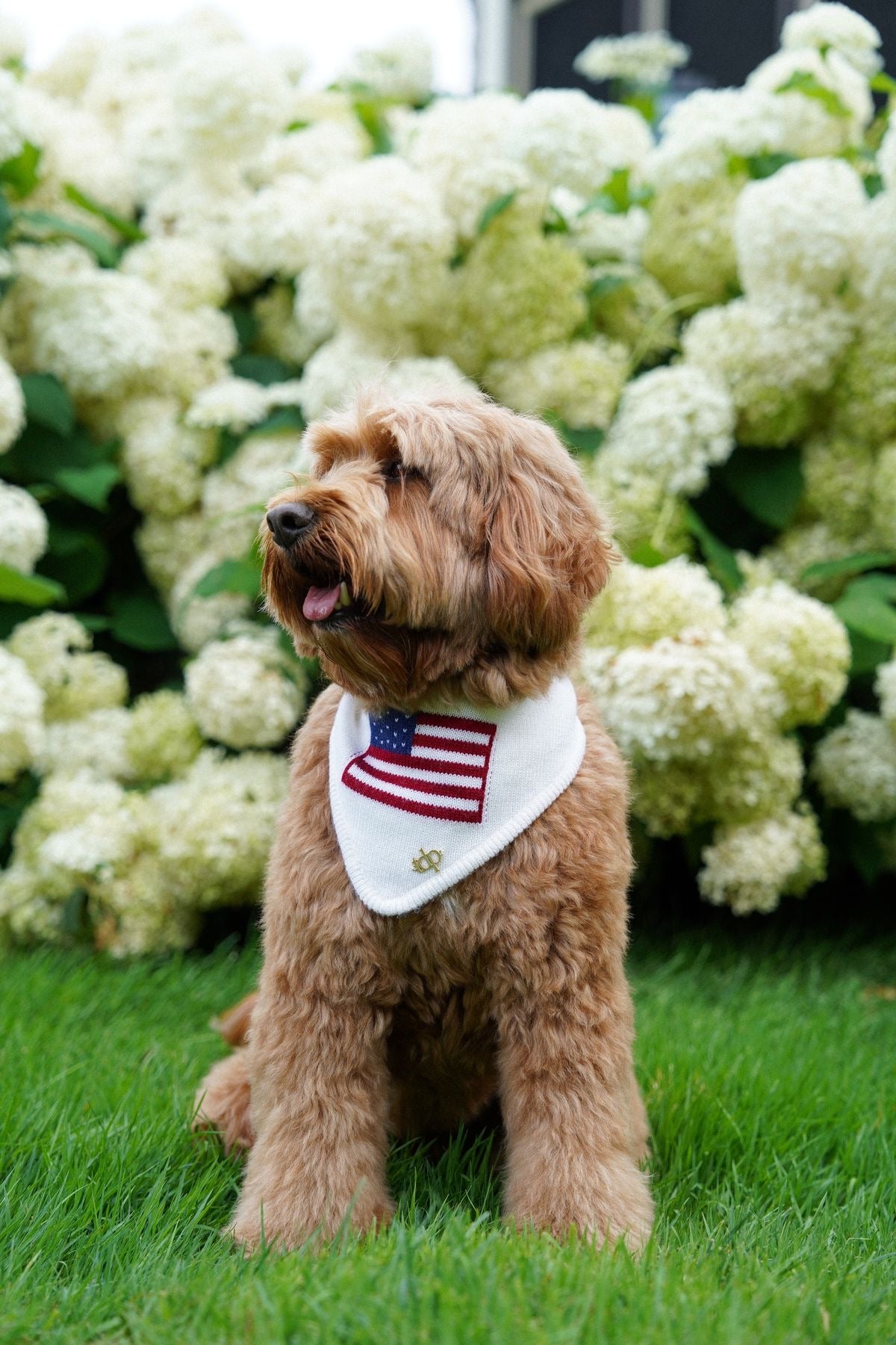 American Flag Dog Collar