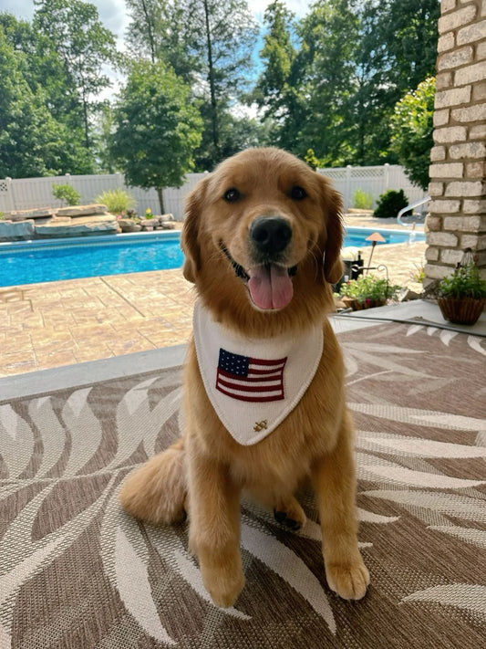 American Flag Dog Collar